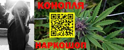стаф Кимры