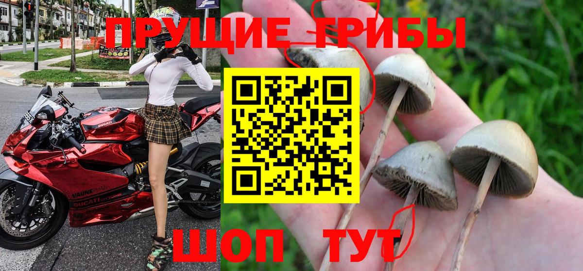 Псилоцибиновые грибы MAGIC MUSHROOMS  Вход с VPN  Комсомольск-на-Амуре 